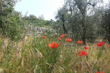20140602_143824