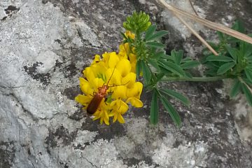 20140602_144017
