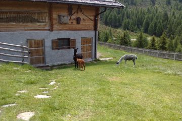 62-hirzer-huette