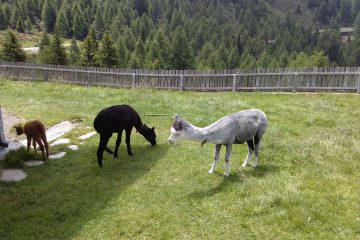 63-hirzer-huette