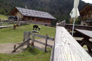 95-hirzer-huette-gasthaus-tallner-alm