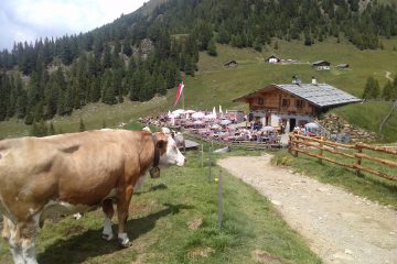 127-hintereggalm