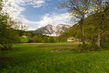 fennberger_see3