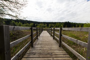 fennberger_see4