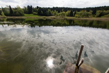 fennberger_see5