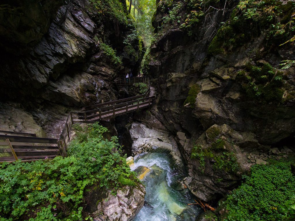 gilfenklamm3