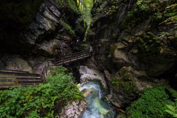 gilfenklamm3