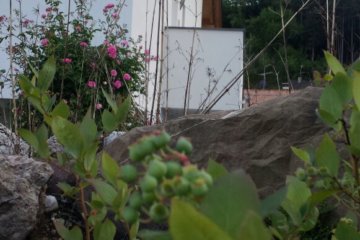WhatsApp Image 2017-05-15 at 18.21.33