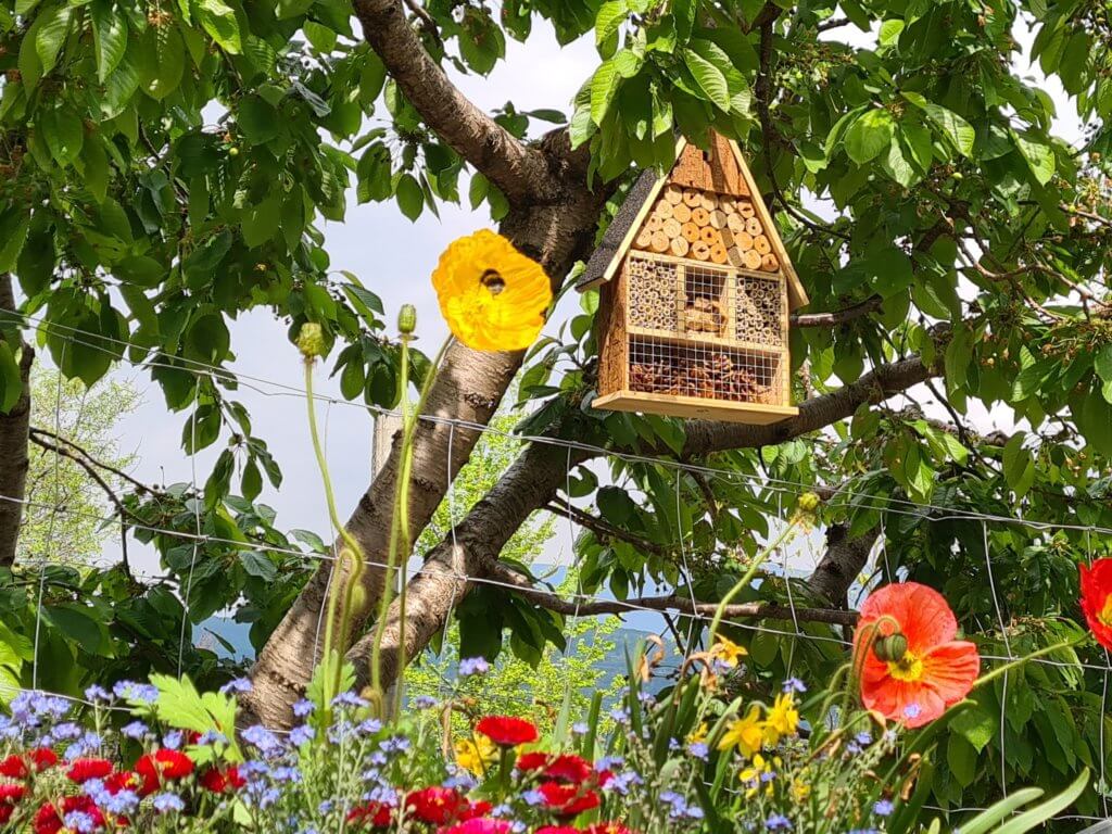 Insektenhotel